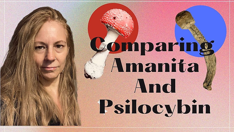 Comparing Amanita And Psilocybin